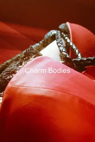 Madame et Sa Soumise - 3