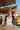 1_2236_01JTEQ424FDCW3QW3W25AC2K6S.webp
