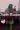 1_2666_01JWK1BSXREFVHF0W0DARFMQ2G.webp