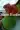 1_2666_01JWK1ENR4JC0914GAGQ238C56.webp