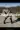 1_2817_01JS9QCPFX42Y7476R8T0QDZBE.webp
