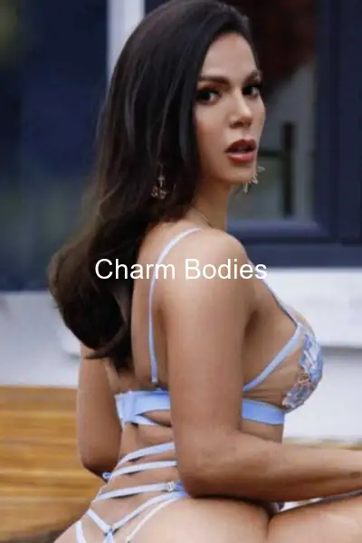 TRANS STAR PORNO - 2