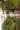 1_3878_01JSMBWKGQC7CZ6ANJG1X2XM08.webp