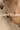 1_4108_01JVEM6ECPG0KTBXSAZKQKD2CS.webp