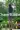 1_4309_01JT9ZTPNWKN6XWDH3MWV06EV9.webp