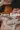 1_4313_01JTAA1CQS48QMGDCNNWPCE9E5.webp