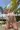 1_4335_01JTB8GD3V2QFRZD06PF4TDBRK.webp