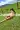 1_4517_01JTNQ0XYS444PQH7NDZY2NP91.webp