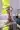 1_4932_01JV73RR9JYHHMH314YA4C0KMR.webp