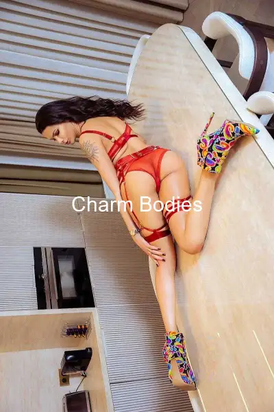 LILY FERRARI 24CM - 2