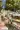 1_9_01JXM4J8ZAQA7XSTSS3W49VGZ0.webp