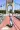 1_9_01JXZAZ4CV9N6Z3W07GTD4EA37.webp