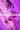 2_5001_01JVA6PK55GECWZNXM10KBHYW3.webp