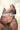 2_5018_01JVAZMQ9BM29FTCWTMEJMM7E6.webp