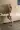2_5119_01JVG5Q85FWT32D2ZYZ8Z93ZGX.webp