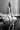 2_5182_01JVKP7KRJMBQ8TBW3EYY63THD.webp