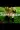 2_5265_01JVQJKB94B5KXR3D7801HN3TR.webp