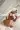 2_5281_01JVRJF9ZP8WTX9JPS7DB48YF2.webp