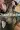 2_5286_01JVTBW6VX6D6Y97EJY3C5TWBE.webp