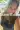 2_5355_01JVW8P59WG1QVHCVNC89Y08VJ.webp