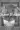 2_5413_01JVYYDRJZHC8BTQG3DBZXM7G6.webp