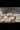 2_5427_01JVZHSY19HVBNZ9P04GXG8CYP.webp