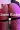 2_5443_01JW0KRJM6BWK4JWF5W49MFYTW.webp