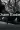 2_5456_01JW1J3P8E7S63KD0MREWA7Y12.webp
