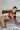 2_6152_01JWRPWARWXXB94F84VH5DTWPJ.webp