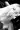 2_6388_01JWXJ45BK0566H9Z96D8Q0A22.webp