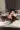 2_6412_01JWY30NNA47ZT49X553KYN7BT.webp