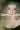 2_6464_01JXH7EA62AS6NGE9QQSXACYNA.webp