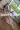 2_6490_01JWZYE2XZJ1DFB108YHNMN590.webp