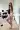 2_6546_01JX1V6F0JTP3E4BG6S37Y8WZB.webp