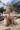 2_6711_01JX6MAD5XS9HG72CXSZ0GHHN4.webp
