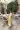 2_6932_01JXCS5HC3VSYFXRG3W81GHTS1.webp