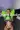 2_7212_01JXHT1N1314YH7DHNCBSX2Q7X.webp
