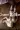 2_7721_01JXVYHRKRCKZMW967FA4J4876.webp