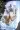 2_7721_01JXVYHSQ9BY1DAJGKZT22VQVX.webp