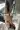 2_7723_01JXVZ1R8WEHSDP1G2Y7TABP9X.webp