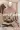 2_7727_01JXWA5XECHTPHBDXJWARHV5HF.webp