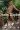 2_7728_01JXW1C37TGXW1TST45JRDB30V.webp
