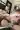 2_7929_01JXZ0Z8FBE4F1S5GTERE78C7F.webp