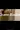 2_7953_01JXZEPP41Z1PY5HW1NGX58CM7.webp