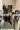 2_8021_01JY16R9X19QGRH7JR5KR7EQ5J.webp