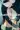 2_8027_01JY19P7ZBMD6VGXMX6GFCF3KH.webp