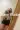 2_8057_01JY1P53SM5N6T1R5KBADQQ86H.webp