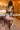 2_8088_01JY27385N6TN4RWBWXM7NE9A1.webp