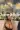 2_8274_01JY5YAZ6FAJZWWFAKEBB79J7F.webp
