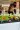 2_8291_01JZ4AX3K2A5JN60F4Z2XZWVZ4.webp
